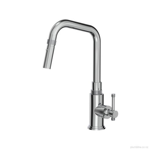Arena Kitchen Mixer With Pull Out Spray