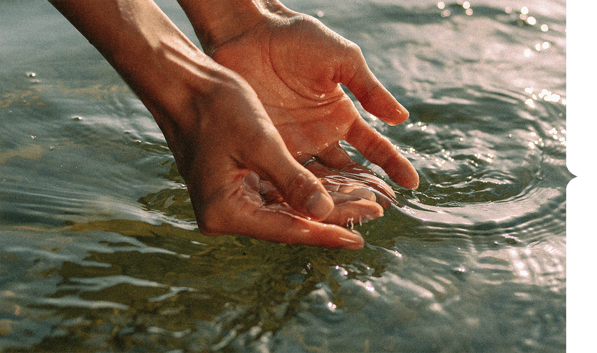 Rooted in Nature - Refined by Design