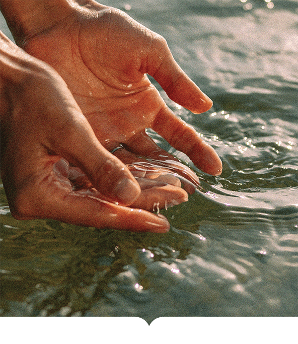 Rooted in Nature - Refined by Design