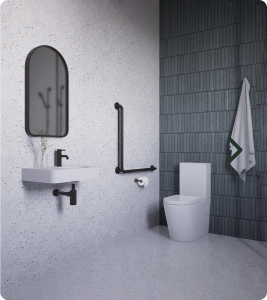 Accessible and Commercial Category